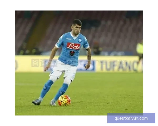 维罗纳边路速度