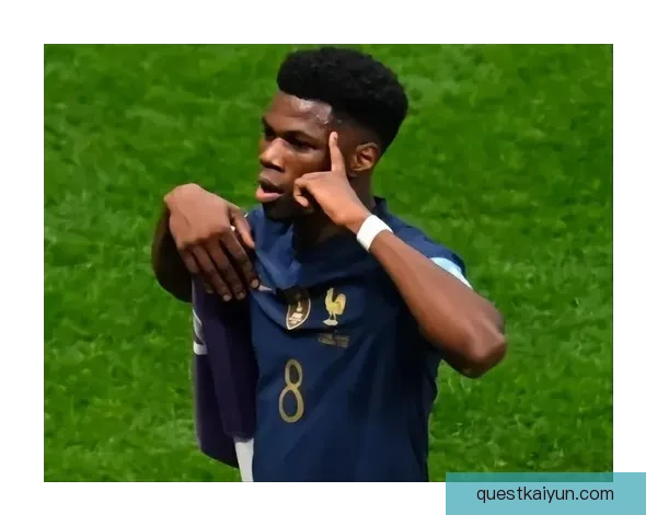 楚阿梅尼世界杯表现分析：状态稳健，助力球队进入关键阶段